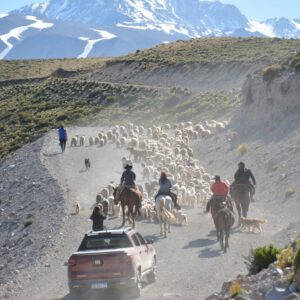 Circuito Por las Huellas del Arriero