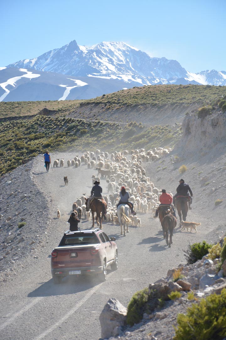 Circuito Por las Huellas del Arriero
