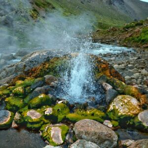 Circuito Geiser y Aguas Termales